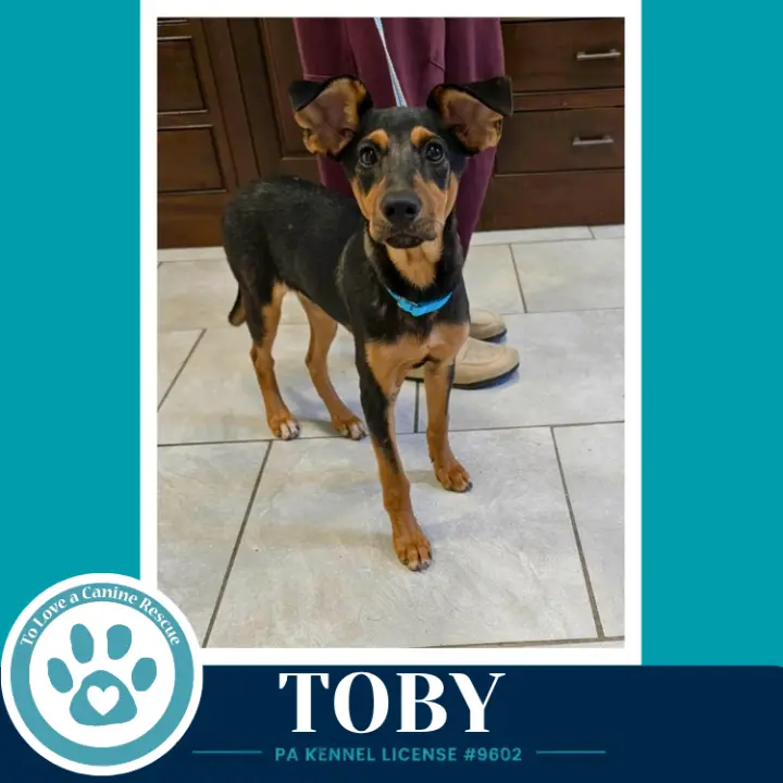 Toby 100326