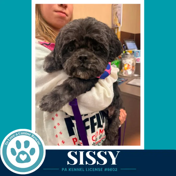 Sissy 100326