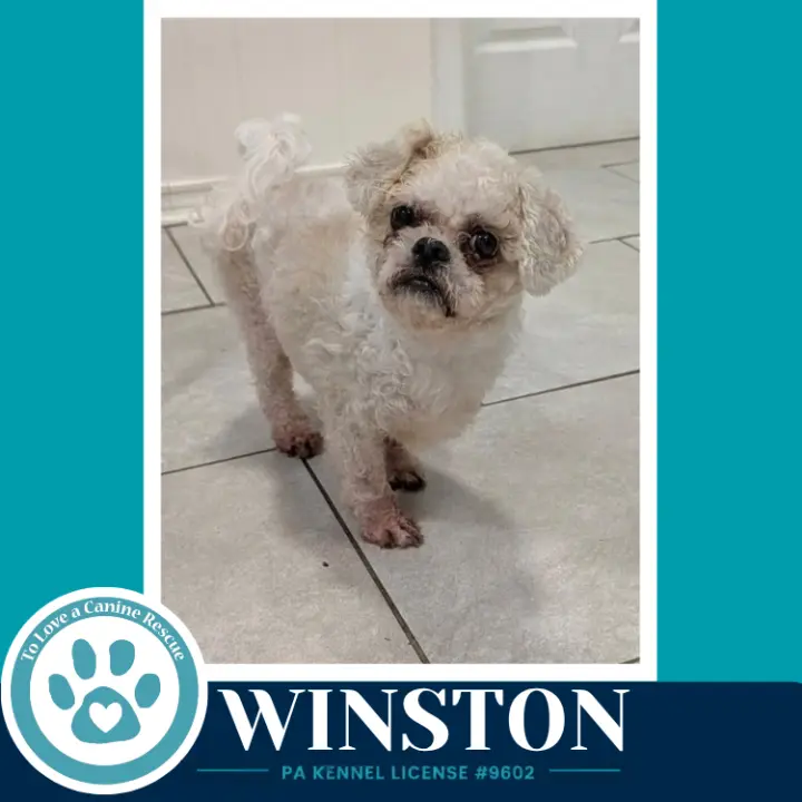 Winston 100326