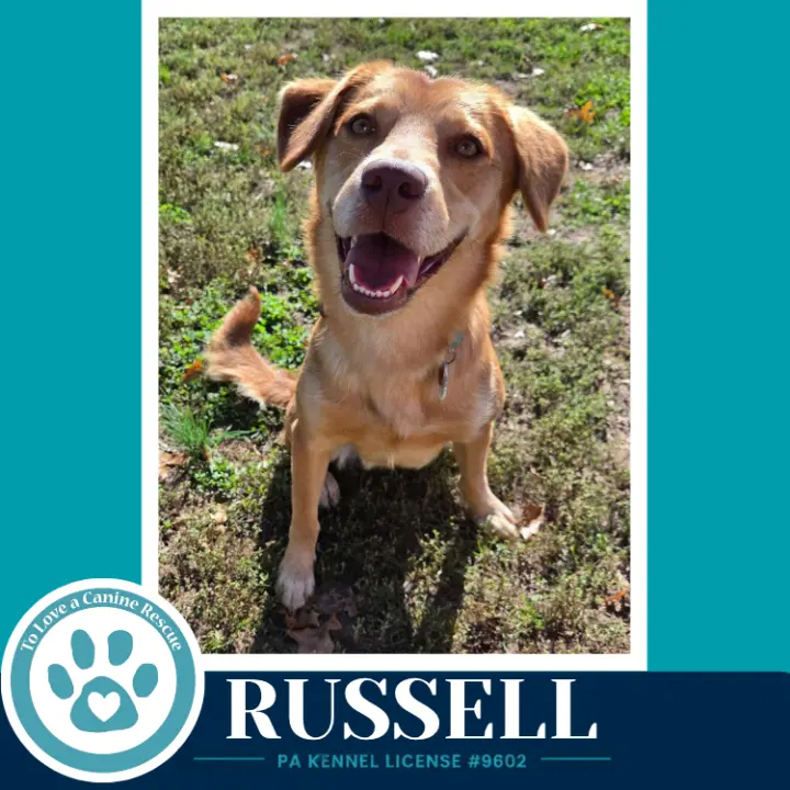 Russell 100326