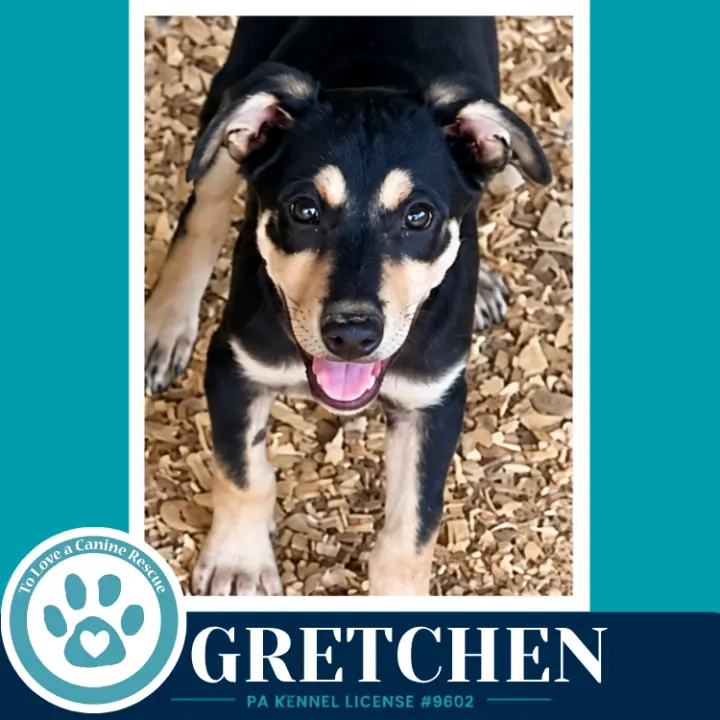 Gretchen (Prost Pups) 100326