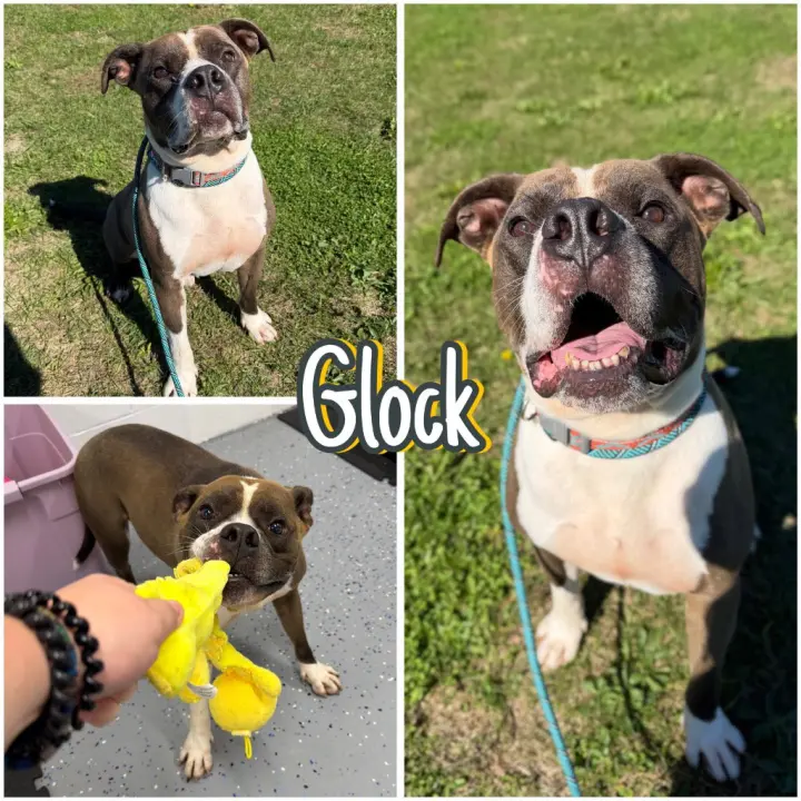 Glock