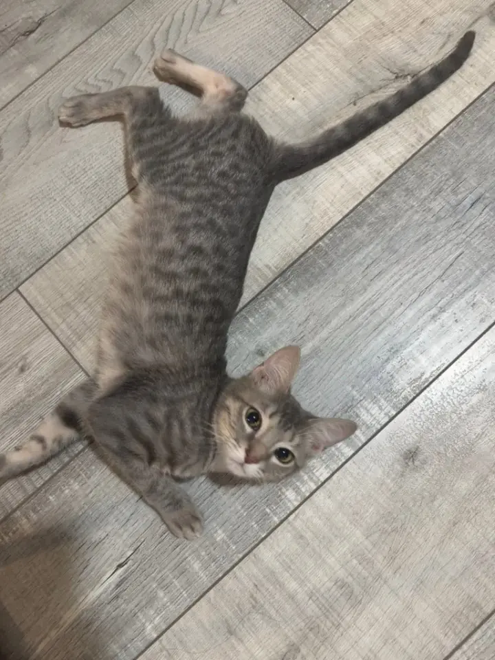 Marty