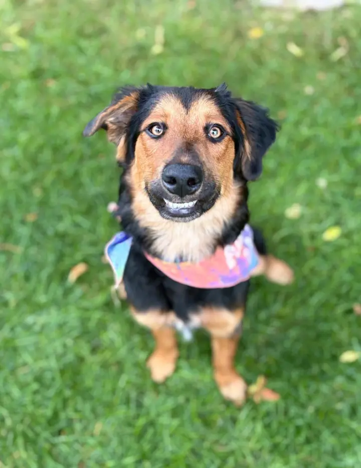 Jolene "Jojo
