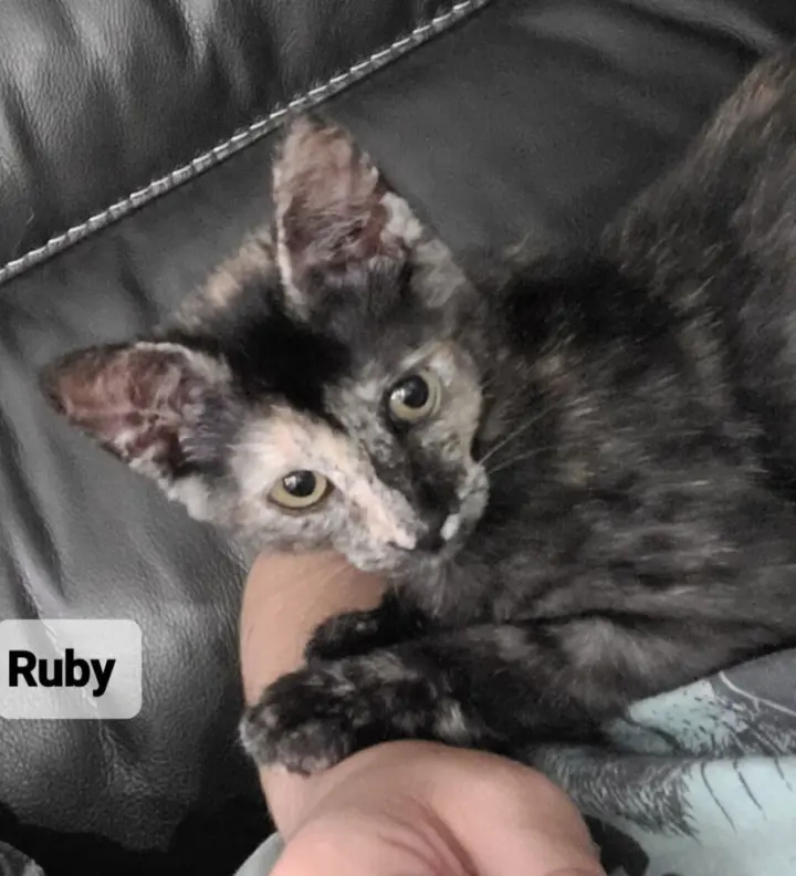 Ruby
