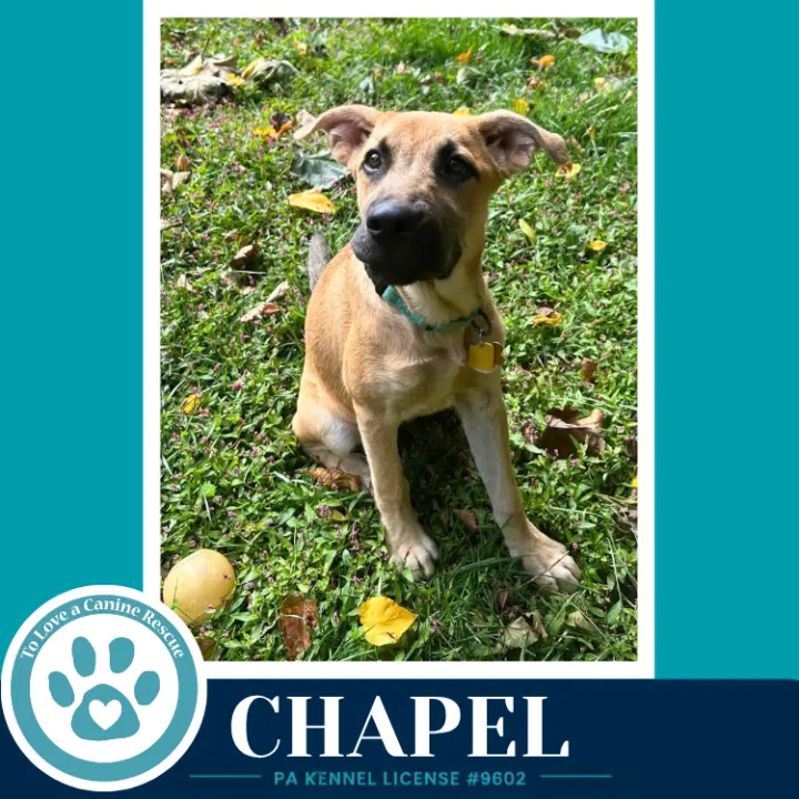 Chapel 100326