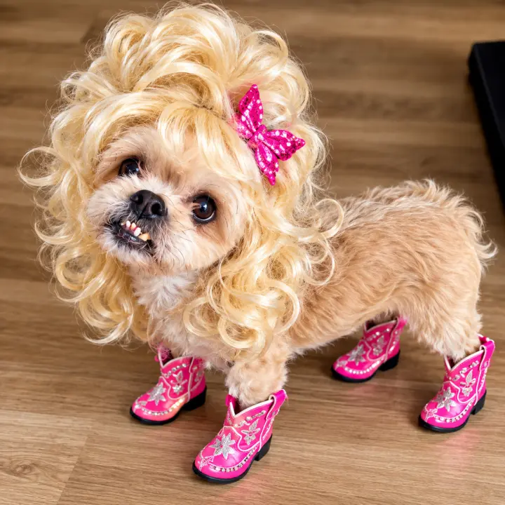 Dolly Pawton