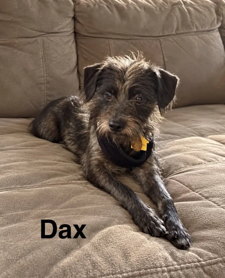Dax
