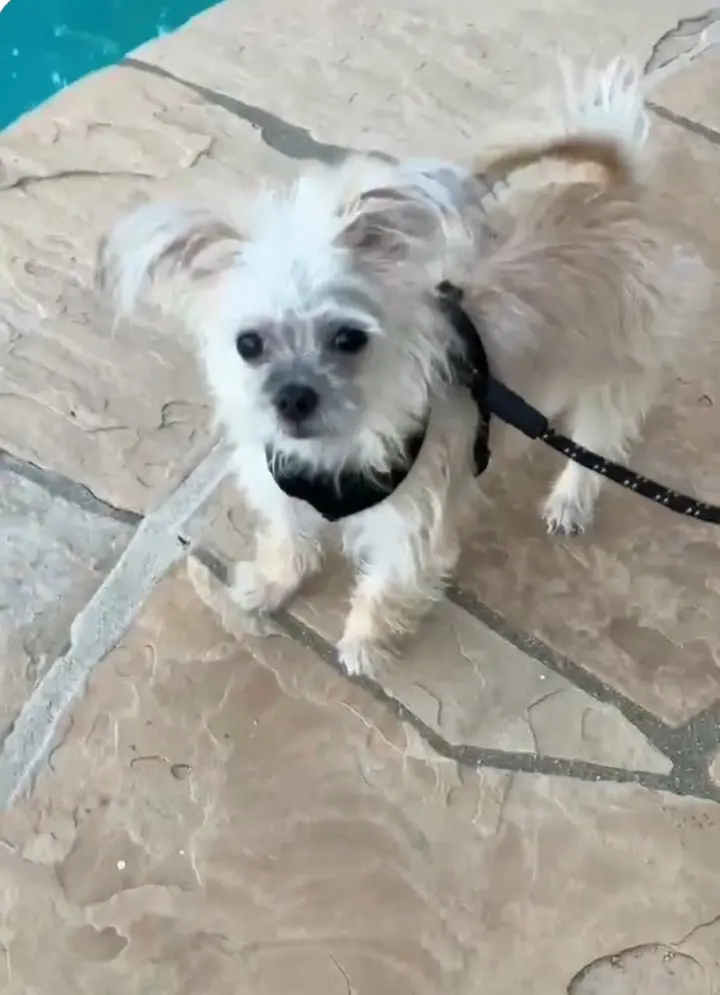 Lena