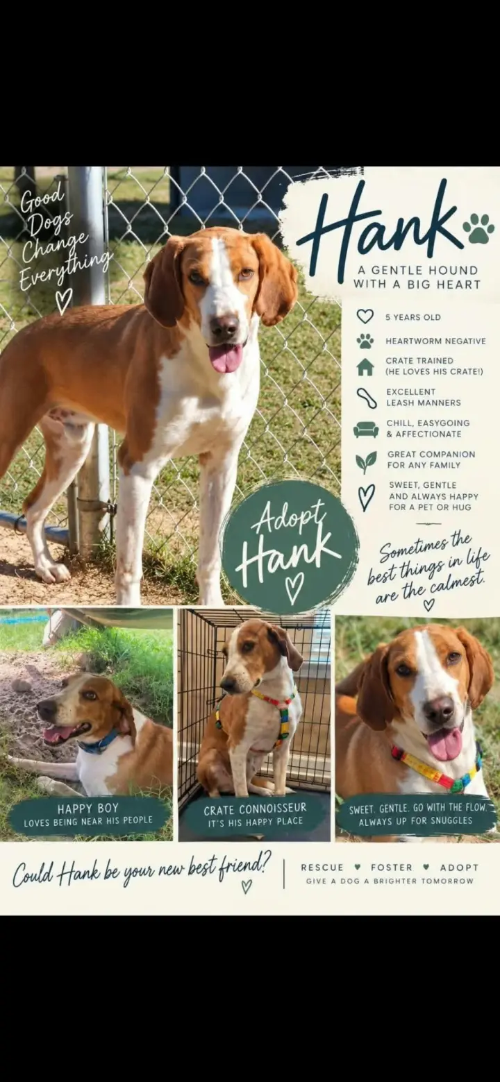 HANK