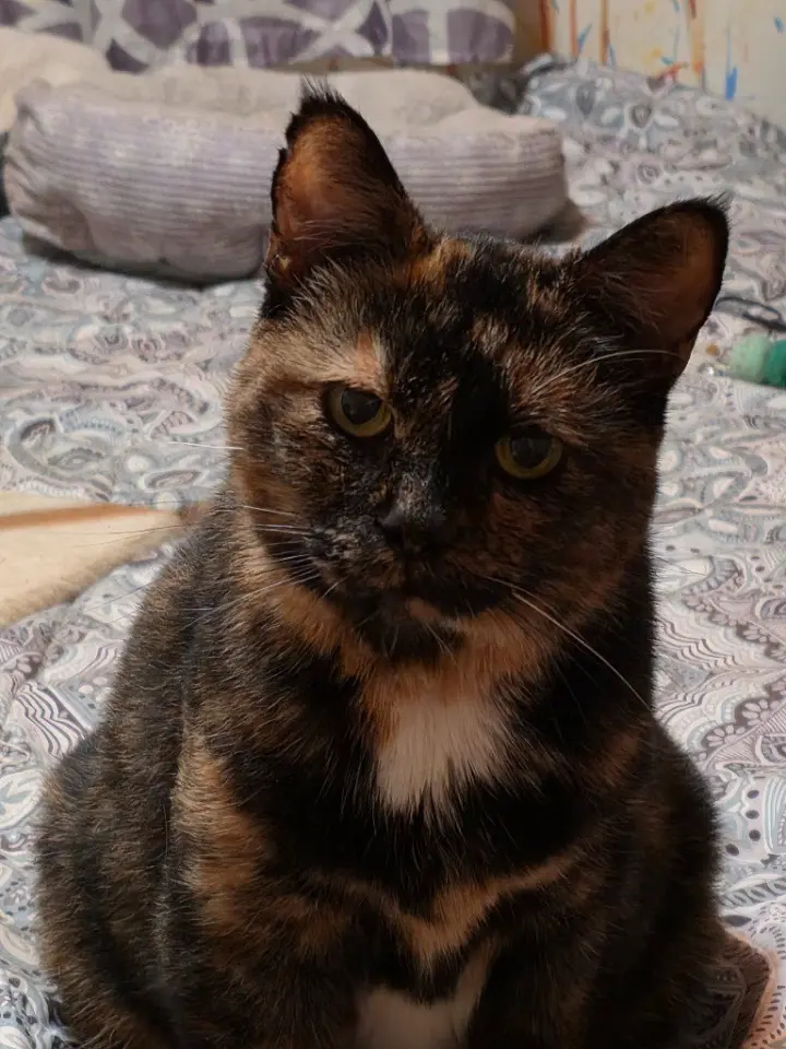 Sweetie