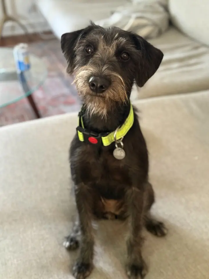 Niña (Nina)