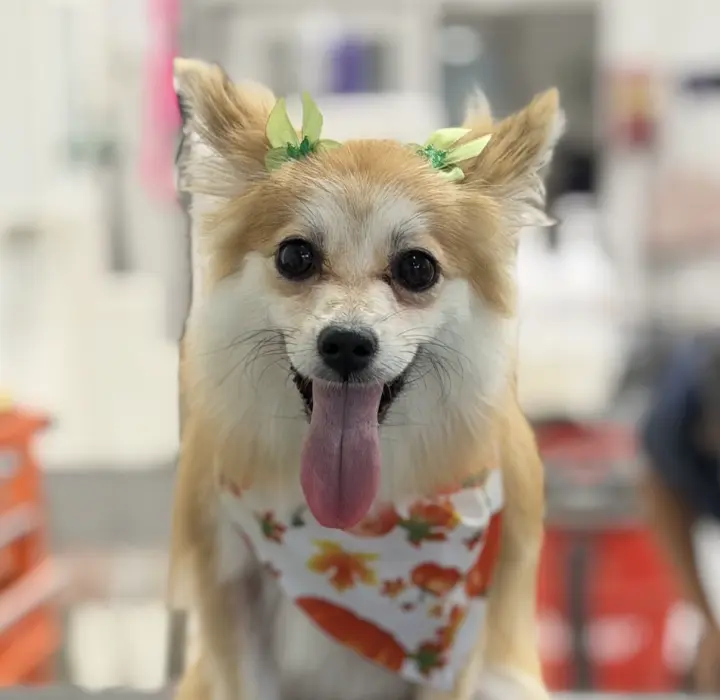 Fiona