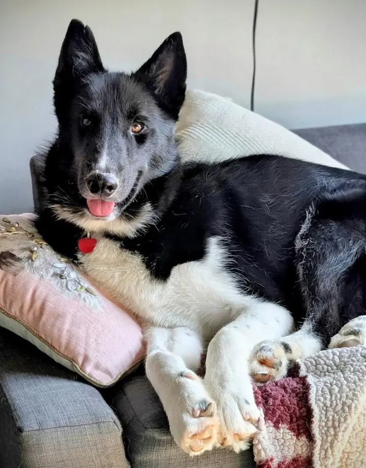 Zeus