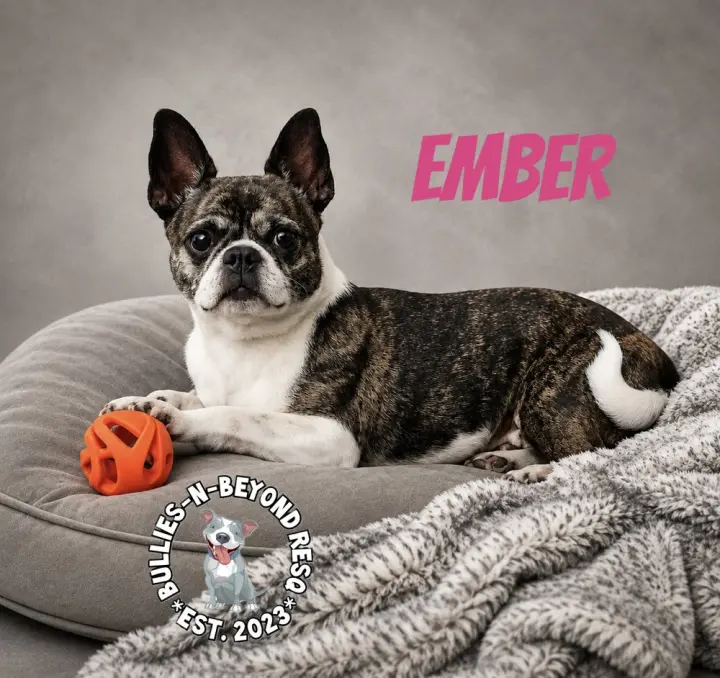 Ember