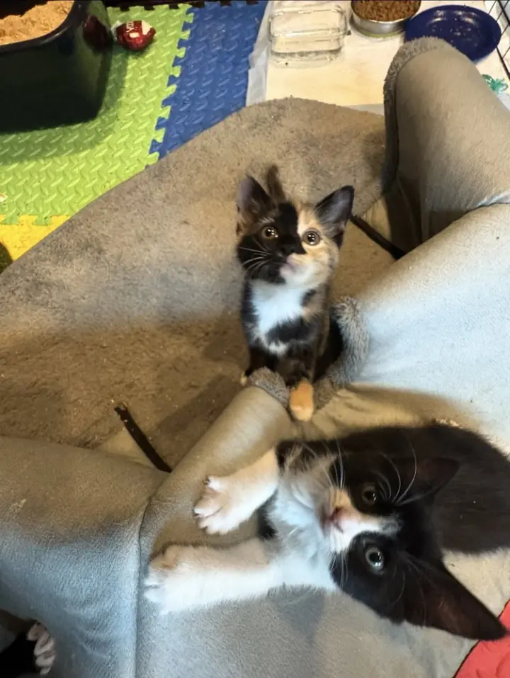 Pumpkin & Winnie