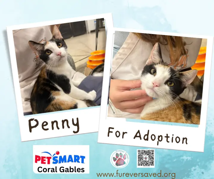 Penny