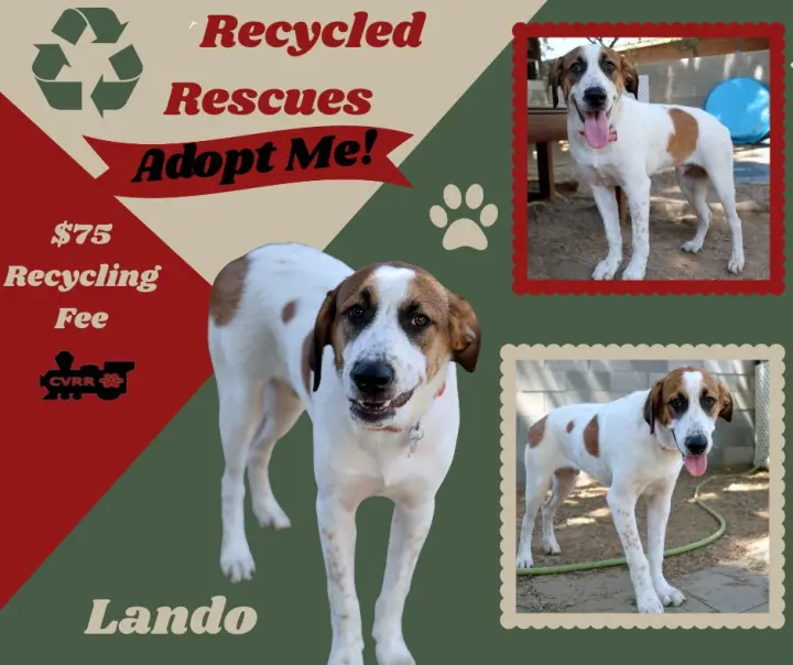 Lando (Recycle)