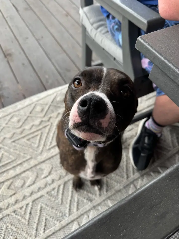 Charlie