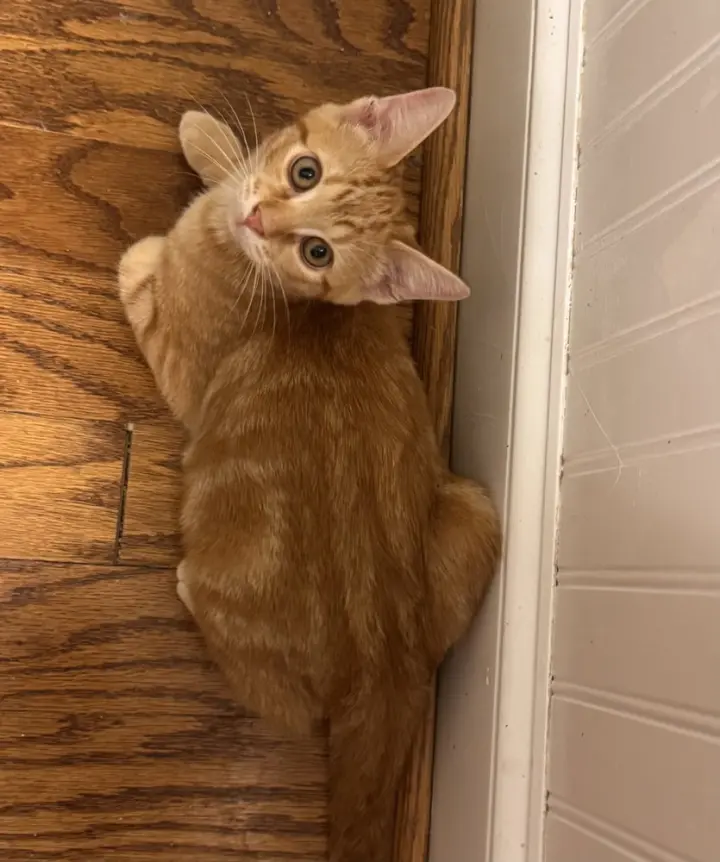 Tucker Finn