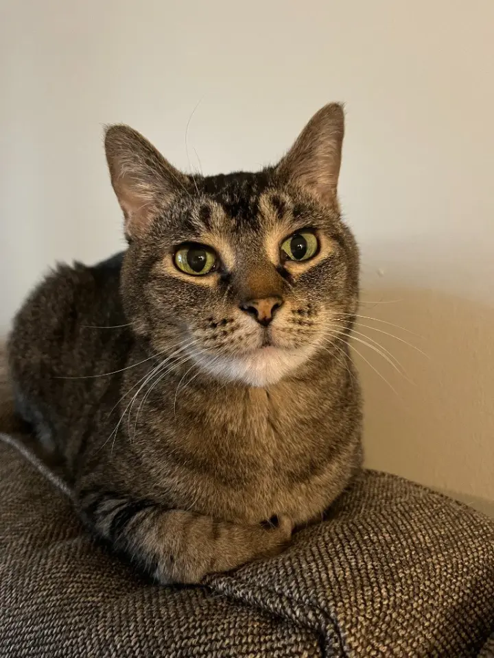 Juno
