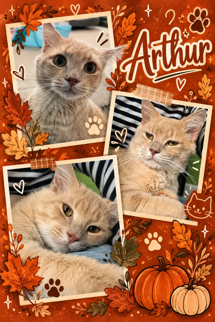 Arthur (FCID# 09/10/2026 - 83)