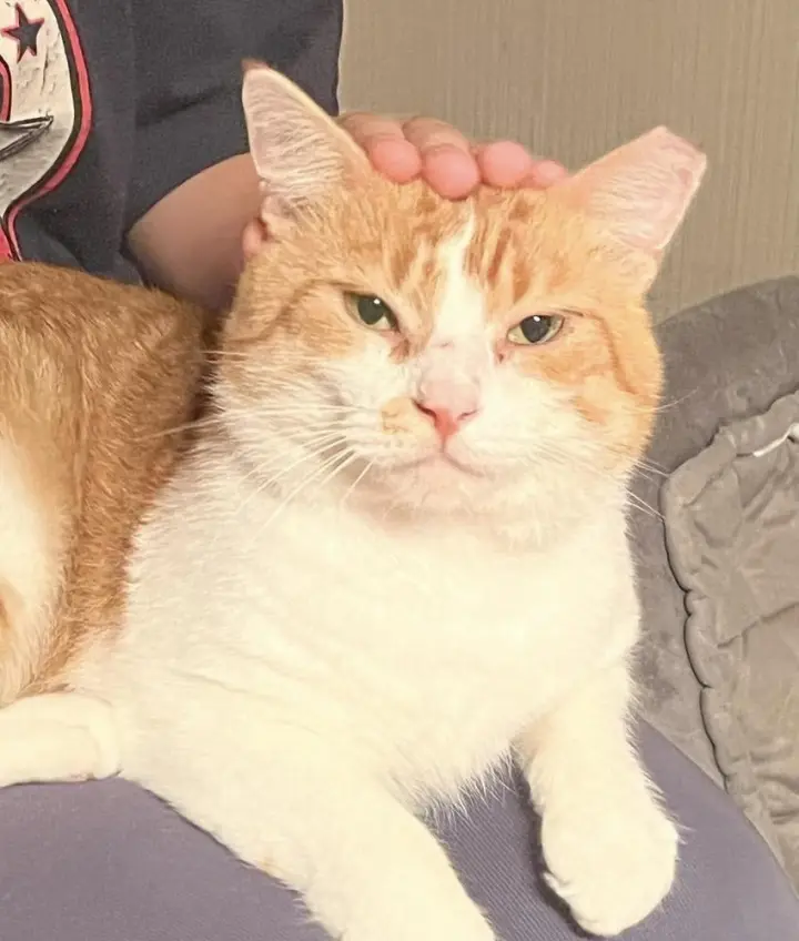 SeÃ±or Chester