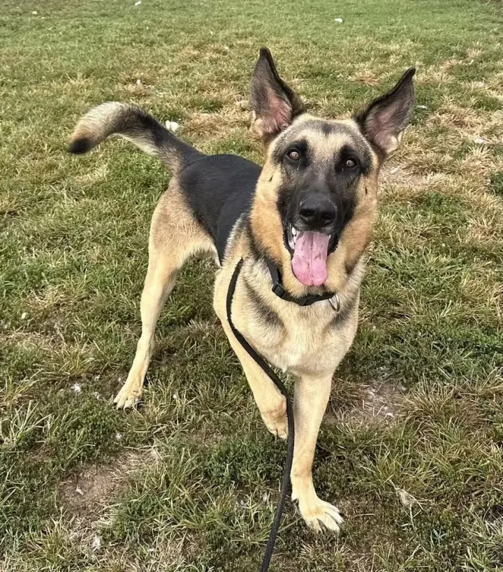 Kaiser