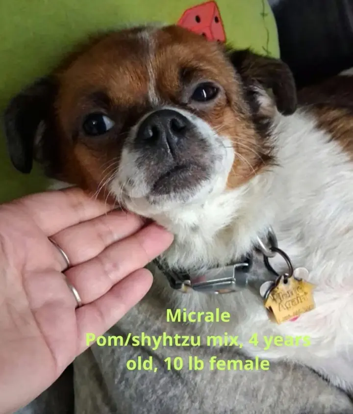 Miracle