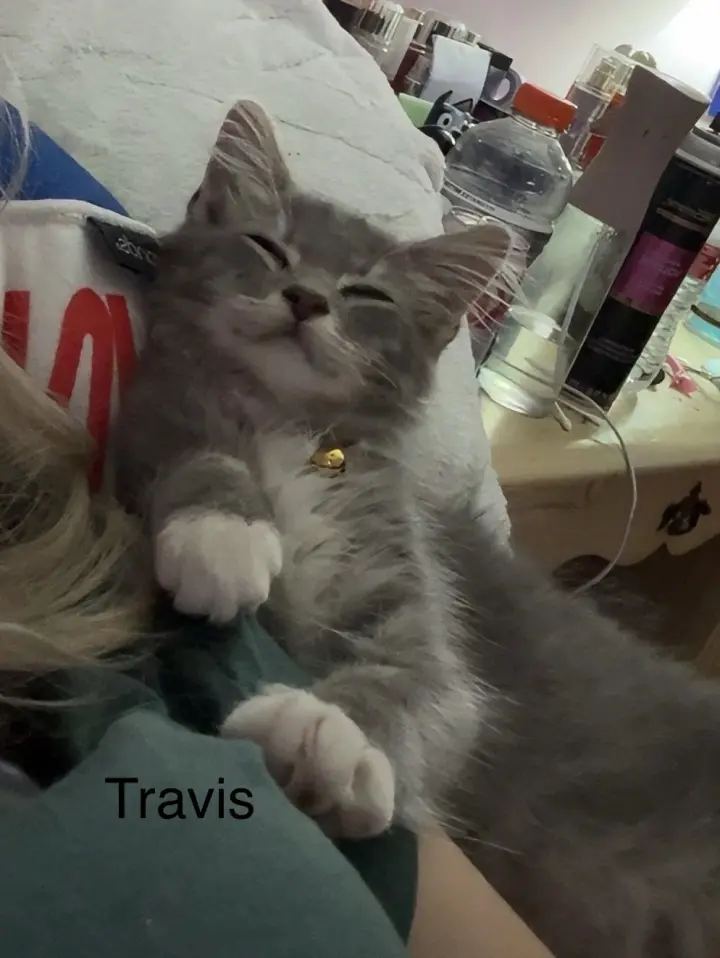 Travis