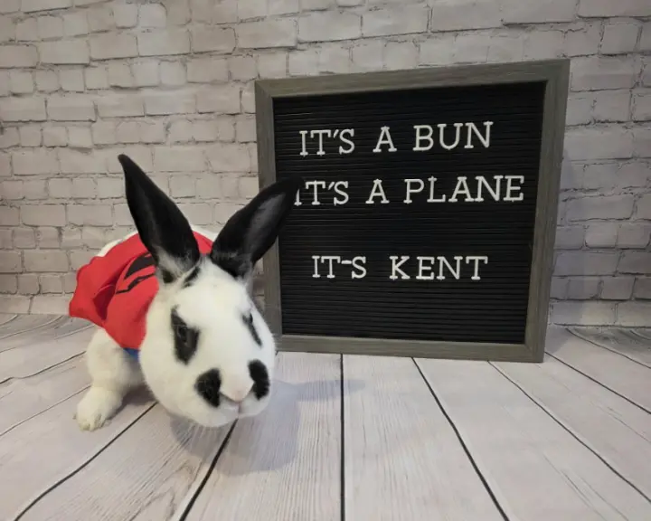 Kent