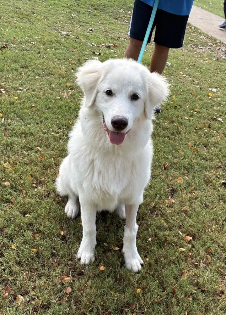 Max