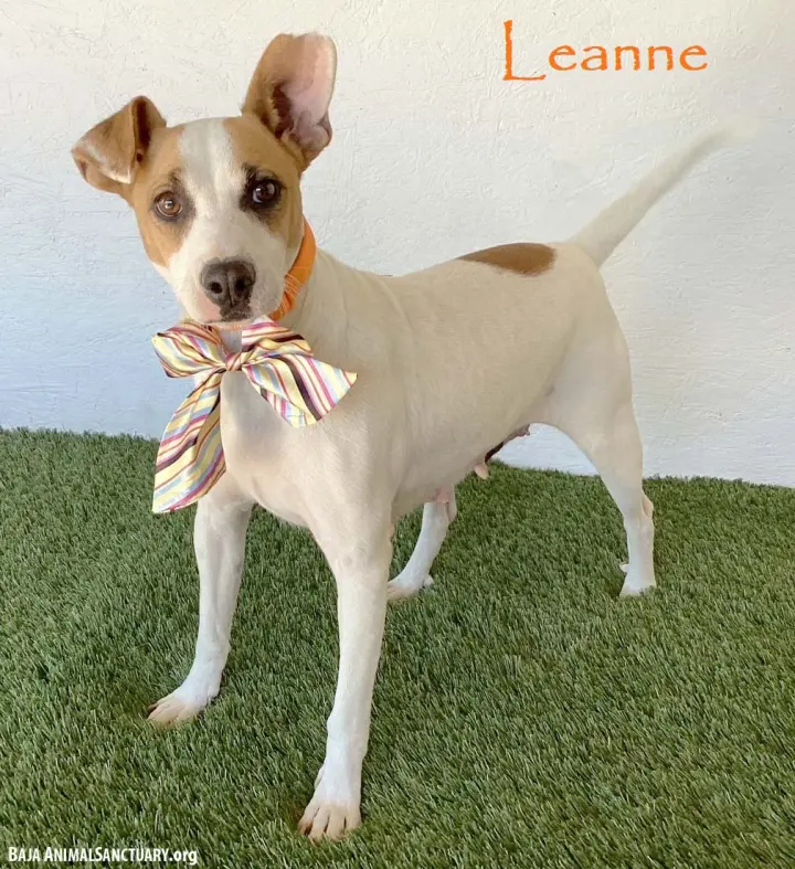 Leanne