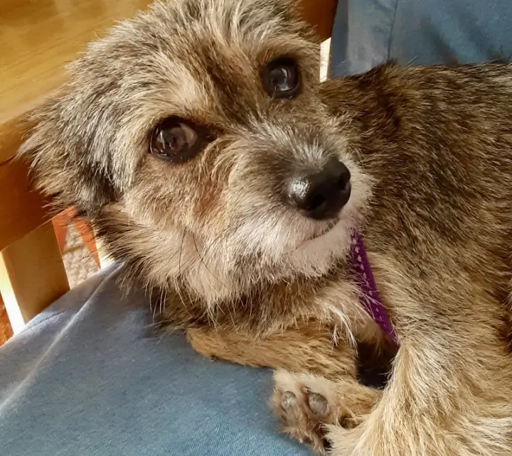 Fiona