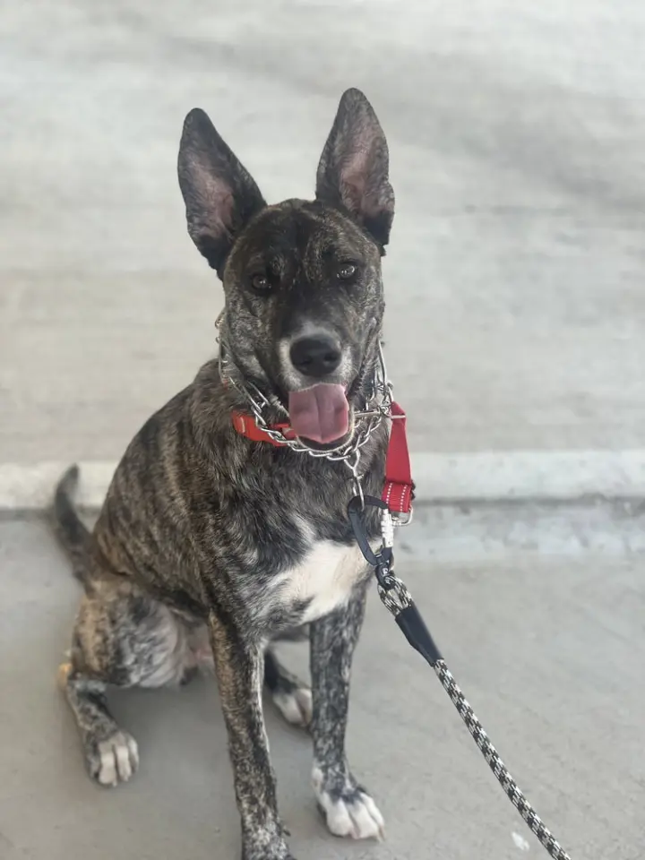 Coco