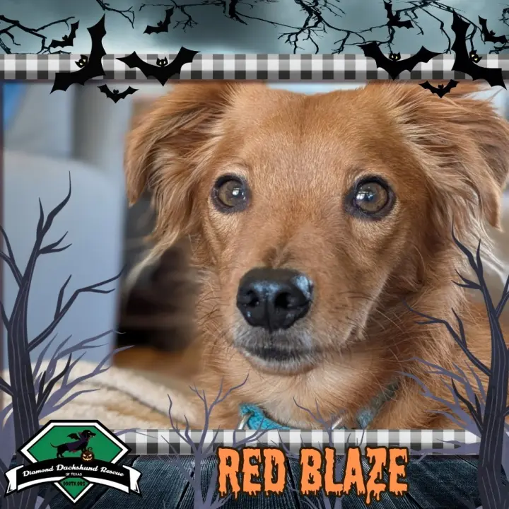 Red Blaze