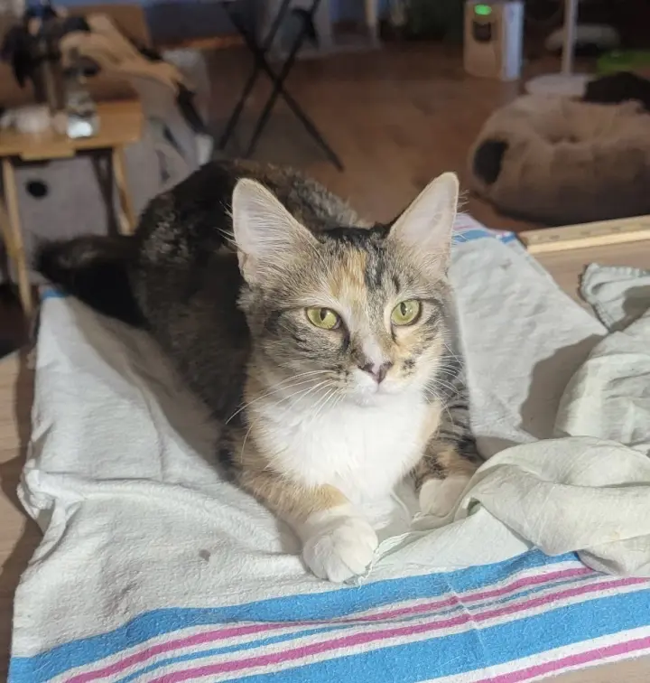 Kit