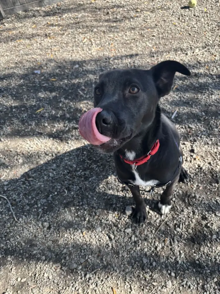 Luna