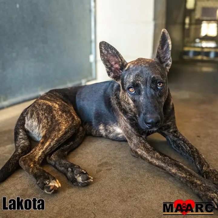 Lakota