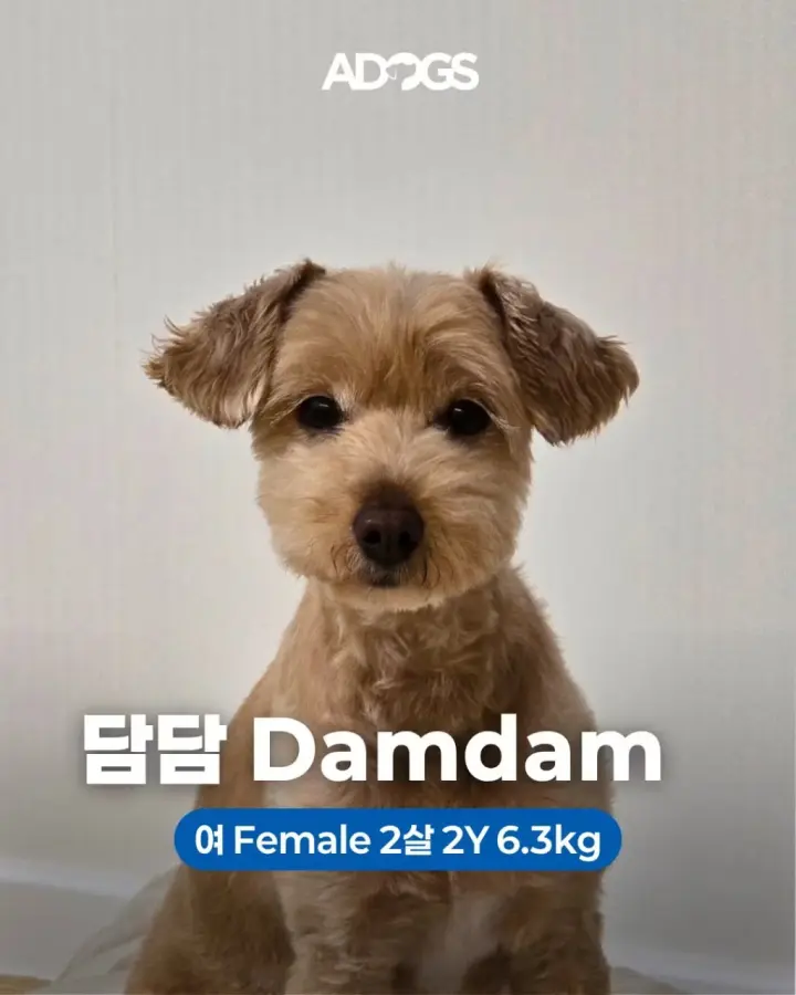 DAMDAM