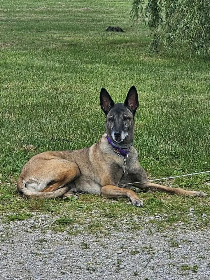 Tilly Female, SC.