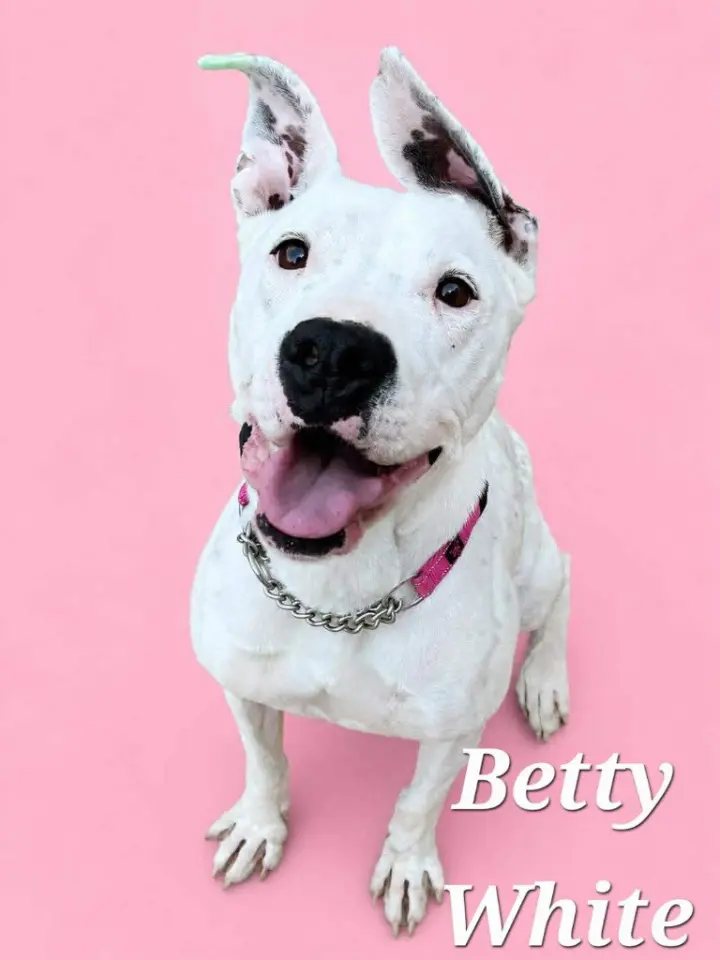 Betty White