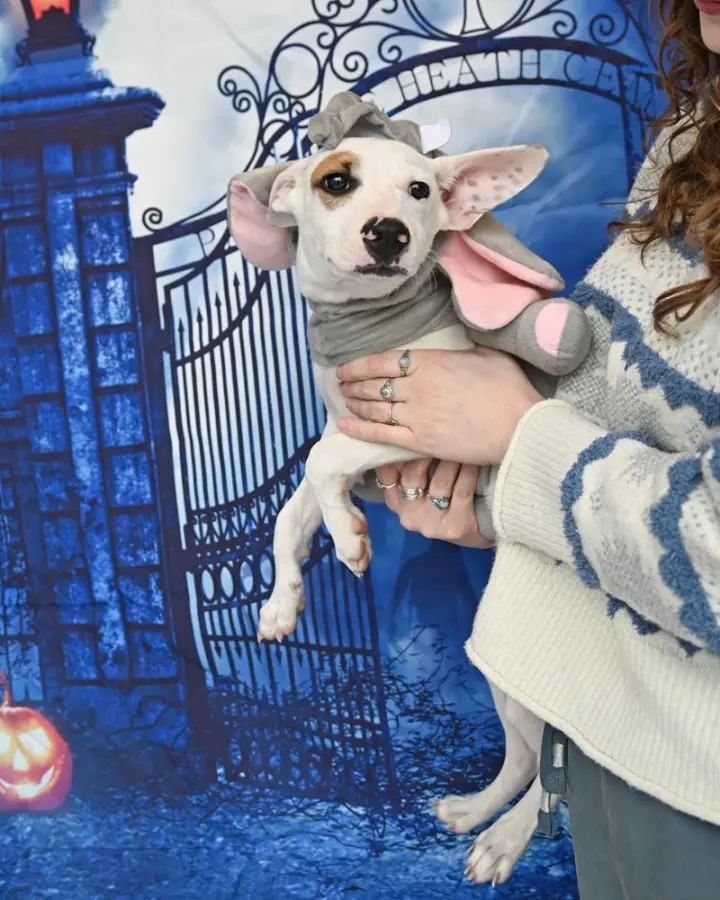 Chucky