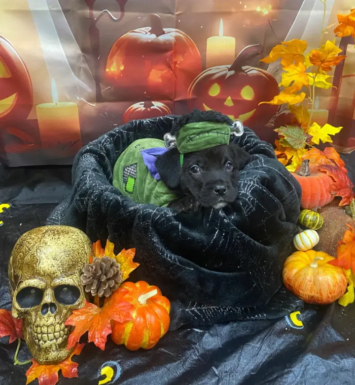 October