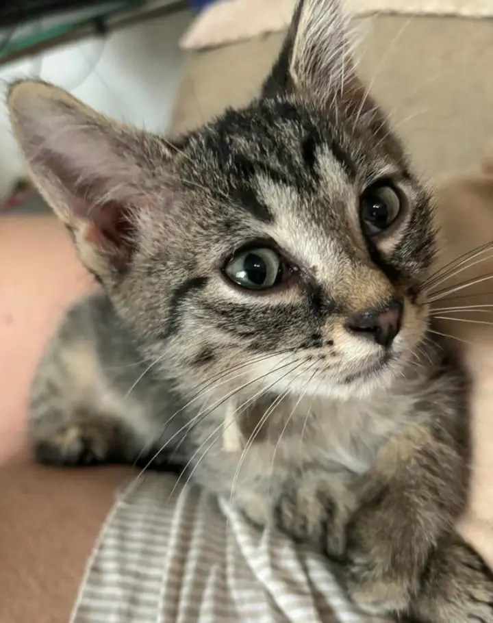 Eugene