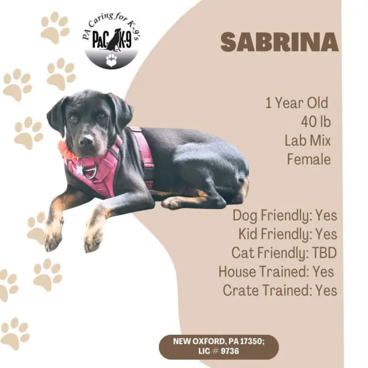 Sabrina