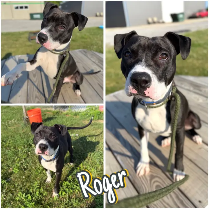 Roger