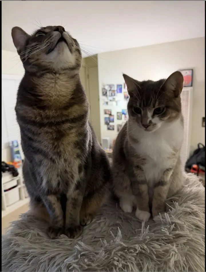 Mia and Leo (Courtesy Post)