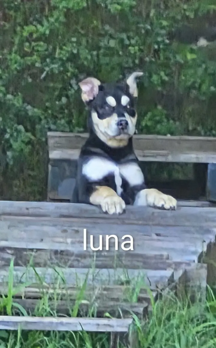 Luna ~ meet me!