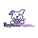 Roy Yorkies